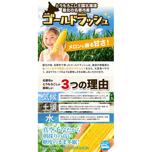 ゴールドラッシュ 名寄市 6本入り 350〜400g 朝採り フルーツコーン 送料無料 とうもろこし スイートコーン 極甘 お取り寄せ 北海道産《8月中旬-9月上旬頃より発送予定(土日祝除く06