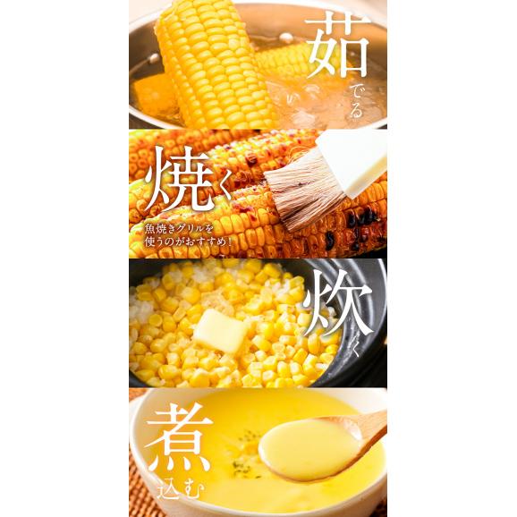 まとめ買いで最大2980円OFF】朝採れ ゴールドラッシュ 名寄市 6本入り