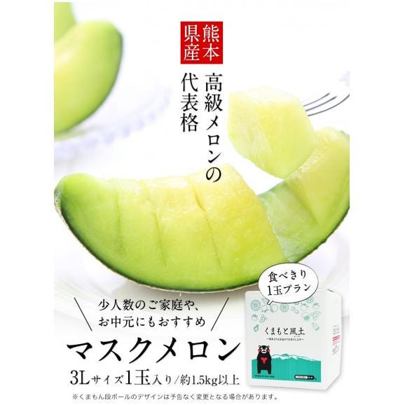 【★今なら1000円OFF★お中元ギフトにも◎】 マスクメロン 九州産 秀品 メロン  大玉 3Lサイズ 1玉 送料無料  約1.5kg以上 ご贈答 ギフト 高級メロン《7-14営業日以内発送》|02
