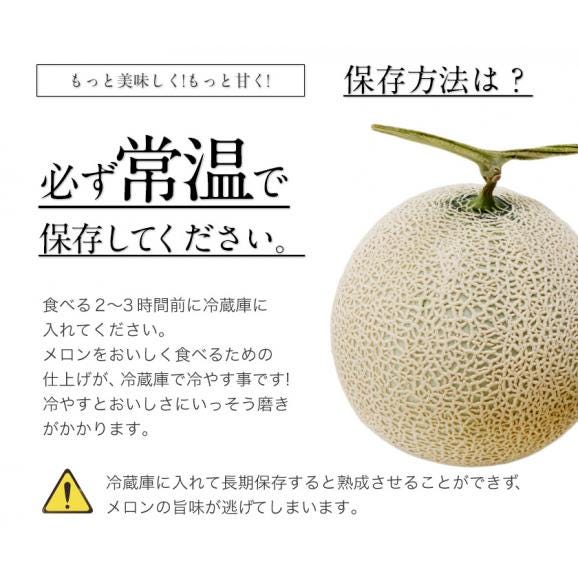 【★今なら1000円OFF★お中元ギフトにも◎】 マスクメロン 九州産 秀品 メロン  大玉 3Lサイズ 1玉 送料無料  約1.5kg以上 ご贈答 ギフト 高級メロン《7-14営業日以内発送》|05