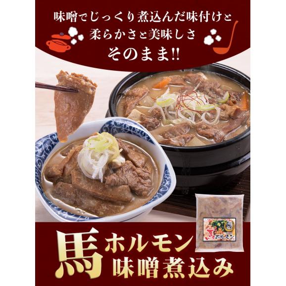 国産 馬 ホルモン 味噌煮込み たっぷり 500g 馬ホルモン インスタント 馬肉 冷凍 《1-5営業日以内に出荷予定(土日祝日除く)》03
