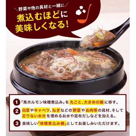 国産 馬 ホルモン 味噌煮込み たっぷり 500g 馬ホルモン インスタント 馬肉 冷凍 《1-5営業日以内に出荷予定(土日祝日除く)》04