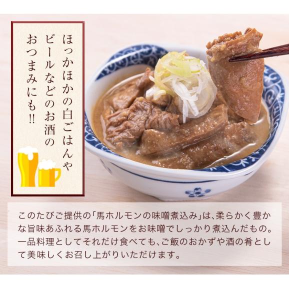 国産 馬 ホルモン 味噌煮込み たっぷり 500g 馬ホルモン インスタント 馬肉 冷凍 《1-5営業日以内に出荷予定(土日祝日除く)》05