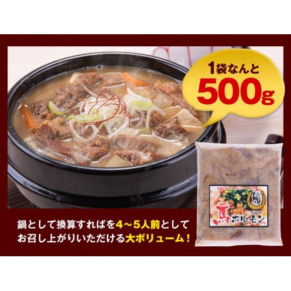 国産 馬 ホルモン 味噌煮込み たっぷり 500g 馬ホルモン インスタント 馬肉 冷凍 《1-5営業日以内に出荷予定(土日祝日除く)》06