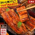ギフト うなぎ 有頭 国産 蒲焼 蒲焼き 1尾165g以上 鰻 九州産 たれ さんしょう のセット ウナギ 鰻 贈り物 ボイル 九州 蒲焼 冷凍 セール《1-5営業日以内に出荷(土日祝日は除く)》