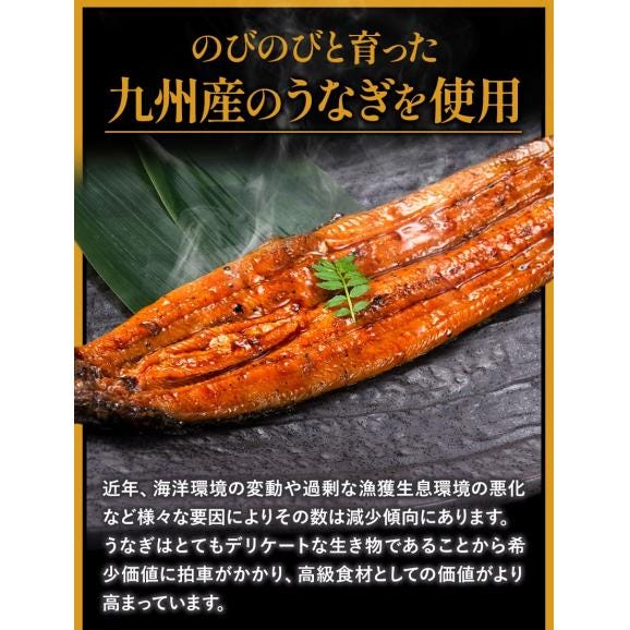 ギフト うなぎ 有頭 国産 蒲焼 蒲焼き 1尾165g以上 鰻 九州産 たれ さんしょう のセット ウナギ 鰻 贈り物 ボイル 九州 蒲焼 冷凍 セール《1-5営業日以内に出荷(土日祝日は除く)》02