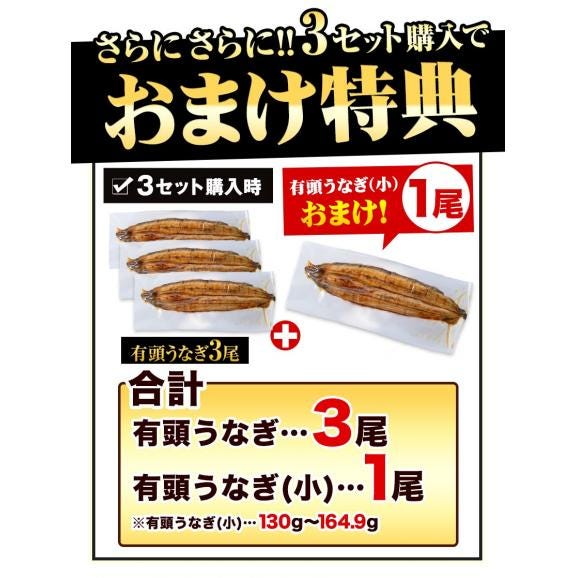 ギフト うなぎ 有頭 国産 蒲焼 蒲焼き 1尾165g以上 鰻 九州産 たれ さんしょう のセット ウナギ 鰻 贈り物 ボイル 九州 蒲焼 冷凍 セール《1-5営業日以内に出荷(土日祝日は除く)》05