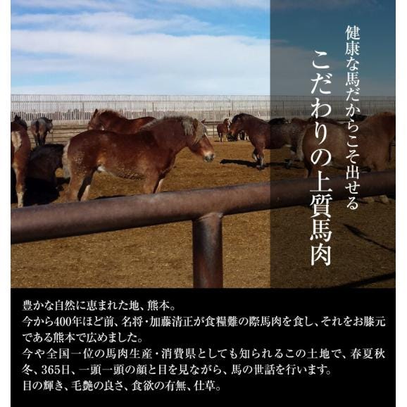 【ギフト】 赤身 馬刺し (ブロック) たっぷり500g (タレ5ml×6袋) 【熊本肥育】 ギフト 熨斗 のし 健康 お取り寄せ 《7-14営業日以内に出荷予定(土日祝日除く)》02