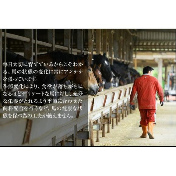 【ギフト】 赤身 馬刺し (ブロック) たっぷり500g (タレ5ml×6袋) 【熊本肥育】 ギフト 熨斗 のし 健康 お取り寄せ 《7-14営業日以内に出荷予定(土日祝日除く)》03