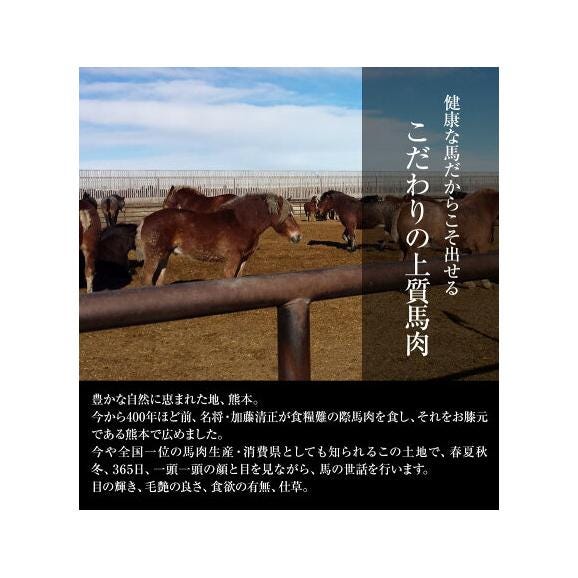 【ギフト】 赤身 馬刺し (ブロック) たっぷり500g (タレ5ml&times;6袋) 【熊本肥育】 ギフト 熨斗 のし 2セット購入で ユッケ 50g&times;1おまけ 《7-14営業日以内に発送予定(土日祝除く)04