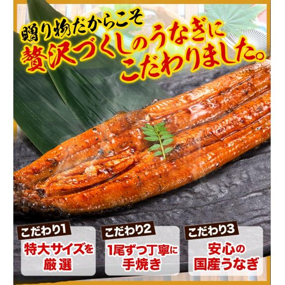 【ギフトにぴったり】特大サイズ うなぎ 国産 蒲焼 蒲焼き 2尾 合計360g以上  鰻 九州産 たれ 山椒 ウナギ 鰻 贈り物 ボイル 九州 蒲焼 冷凍 ギフト 土用の丑の日 |02