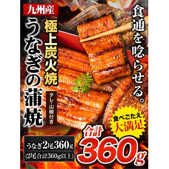 【父の日ギフト】 特大サイズ うなぎ 国産 蒲焼 蒲焼き 2尾 合計360g以上  鰻 九州産 たれ さんしょう のセット ウナギ 鰻 贈り物 ボイル 九州 蒲焼 冷凍 ギフト 父の日 土用の 丑の日04