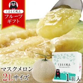 【ギフトにぴったり】 九州産 マスクメロン メロン 秀品 2Lサイズ 1玉 ギフト 送料無料 約1.2kg以上 熨斗 のし  贈り物 フルーツギフト 贈答 メロン 