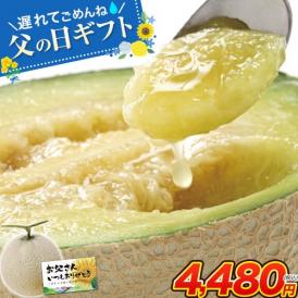 【父の日★遅れてごめんね】 九州産 マスクメロン メロン 秀品 2Lサイズ 1玉 ギフト  メッセージカード 送料無料 約1.2kg以上 熨斗 のし  贈り物 フルーツギフト 贈答 メロン 