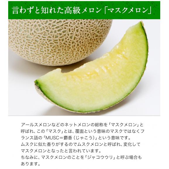 【ギフトにぴったり】 九州産 マスクメロン メロン 秀品 2Lサイズ 1玉 ギフト 送料無料 約1.2kg以上 熨斗 のし  贈り物 フルーツギフト 贈答 メロン 02