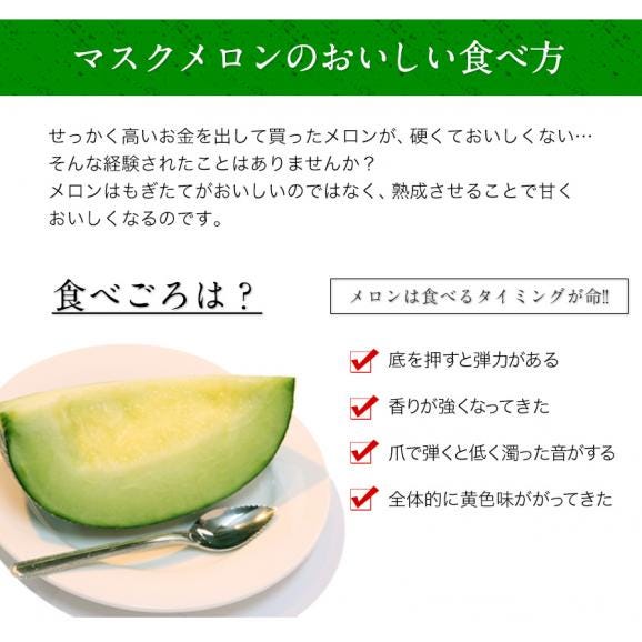 【ギフトにぴったり】 九州産 マスクメロン メロン 秀品 2Lサイズ 1玉 ギフト 送料無料 約1.2kg以上 熨斗 のし  贈り物 フルーツギフト 贈答 メロン 03