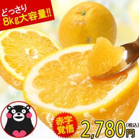 ＼大容量★1kgあたり347.5円／ 訳あり 河内晩柑 8kg 九州産 送料無料 和製 グレープフルーツ 旬 の フルーツ 果物 みかん 晩柑 《7-14営業以内発送予定(土日祝除く)》