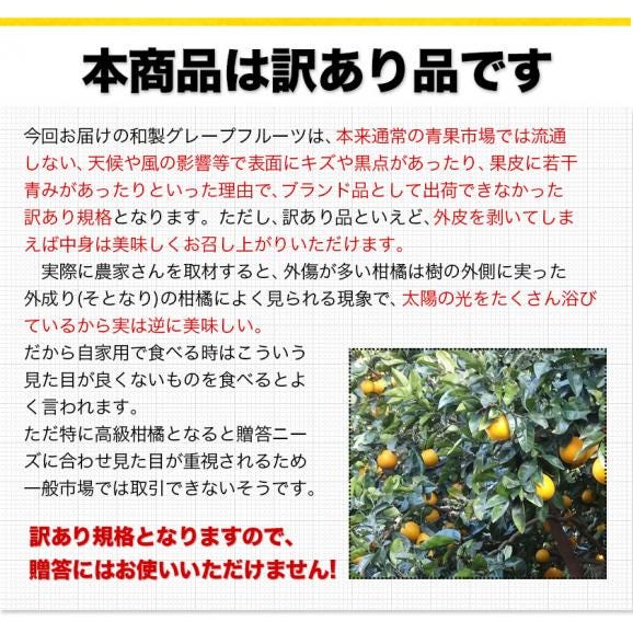 ＼大容量★1kgあたり347.5円／ 訳あり 河内晩柑 8kg 九州産 送料無料 和製 グレープフルーツ 旬 の フルーツ 果物 みかん 晩柑 《1-5営業以内発送予定(土日祝除く)》05