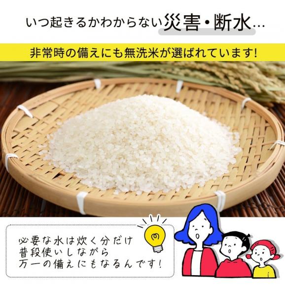 【最短翌日～5営業日以内に発送！】 国産 ふるさと 無洗米 10kg 5kg×2袋 雑穀米セット 送料無料 精米 国産ふるさと無洗米 非常食 保存食 こめ  《1-5営業日以内お届け》04