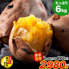【★赤字覚悟★1kg当たり衝撃の497円！！】 さつまいも 種子島産 訳あり 安納芋 たっぷり大容量 6kg 送料無料 ※2セットで680円OFF！！ 長期熟成 蜜芋 さつま芋 スイーツ サツマイモ 