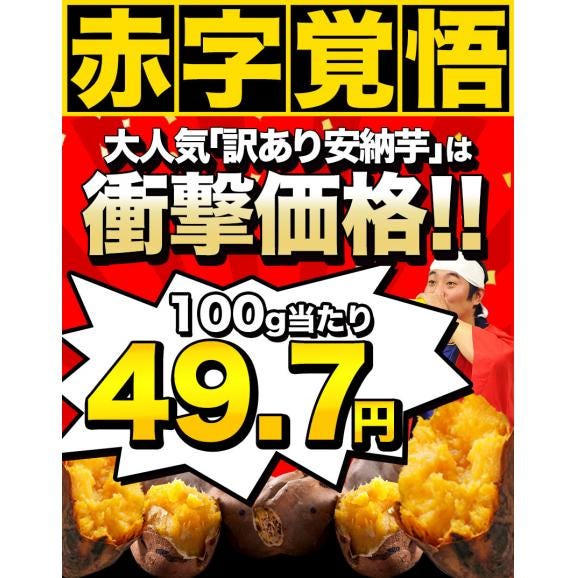 【★赤字覚悟★100g当たり衝撃の49.7円！！】 さつまいも 種子島産 訳あり 安納芋 たっぷり大容量 6kg 送料無料 ※2セットで680円OFF！！ 長期熟成 蜜芋 さつま芋 サツマイモ |02