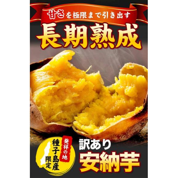 【★赤字覚悟★100g当たり衝撃の49.7円！！】 さつまいも 種子島産 訳あり 安納芋 たっぷり大容量 6kg 送料無料 ※2セットで680円OFF！！ 長期熟成 蜜芋 さつま芋 サツマイモ |03