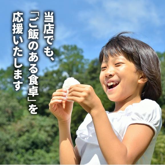 【予約販売8月中旬～8月末頃より出荷開始】 政府備蓄米 国内産 生活応援 備蓄米 5kg×2袋 10kg 5kg 国産米 古古古米 令和3年産 国産 非常食 保存食  精米済み 白米 お米 備蓄米03