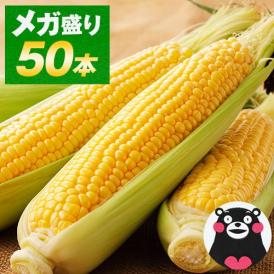 ＼超メガ盛り！／とうもろこし 50本 大容量 スイートコーン ゴールドラッシュ サニーショコラ 味来 恵味 すごあまこーん 約15kg～約20.5kg 50本入り (3L~L サイズ) 朝採り 九州産