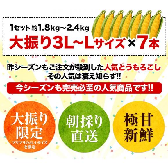 ＼超メガ盛り！／とうもろこし 50本 大容量 スイートコーン ゴールドラッシュ サニーショコラ 味来 恵味 すごあまこーん 約15kg～約20.5kg 50本入り (3L~L サイズ) 朝採り 九州産03