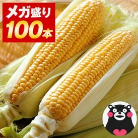 ＼超メガ盛り！／とうもろこし 100本 大容量 スイートコーン ゴールドラッシュ サニーショコラ 味来 恵味 すごあまこーん 約15kg～約20.5kg 50本入り (3L~L サイズ) 朝採り 