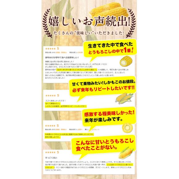 ＼超メガ盛り！／とうもろこし 100本 大容量 スイートコーン ゴールドラッシュ サニーショコラ 味来 恵味 すごあまこーん 約15kg～約20.5kg 50本入り (3L~L サイズ) 朝採り 04