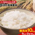 【速攻出荷★送料無料★】  政府備蓄米 無洗米  国内産 生活応援 備蓄米 5kg×2袋 10kg 国産米 古古古米 令和3年産 国産 非常食 保存食 白米 お米 備蓄米 |
