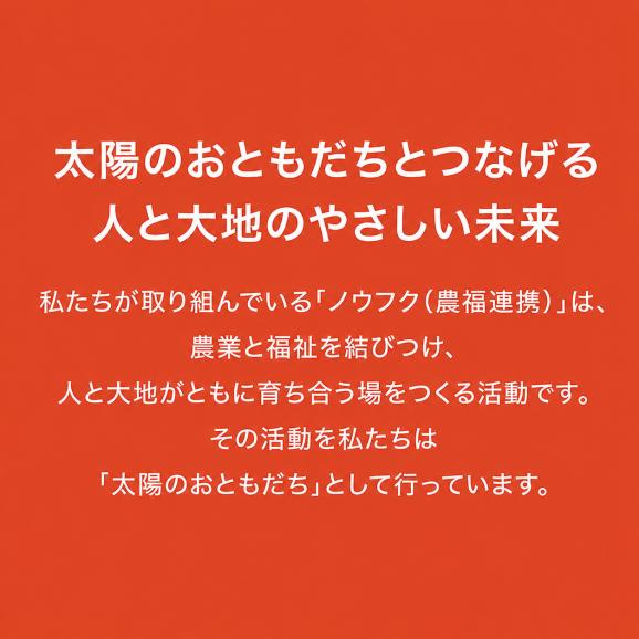 令和7年産 太陽のおともだち 農家もとよしのあきまさり 熊本県産 5kg 送料無料 単一原料米 単一米 米  あきまさり くまもと コメ 精米 白米 《3-7営業日以内に発送予定(土日祝除く)》04