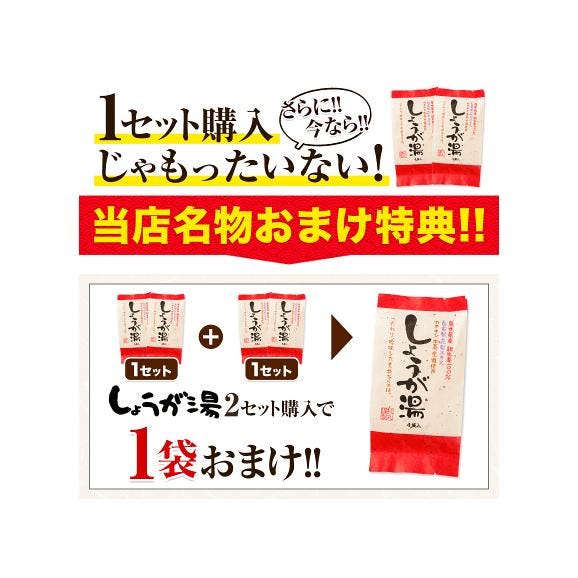 生姜湯 熊本県産 親生姜 使用 国産 粉末 しょうが湯 送料無料 【2セット購入で1袋オマケ】生姜パウダー ジンジャーティー 生姜 温活 ジンジャー しょうが 《1-5営業日以内に発送予定》03
