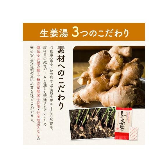 生姜湯 熊本県産 親生姜 使用 国産 粉末 しょうが湯 送料無料 【2セット購入で1袋オマケ】生姜パウダー ジンジャーティー 生姜 温活 ジンジャー しょうが 《1-5営業日以内に発送予定》04
