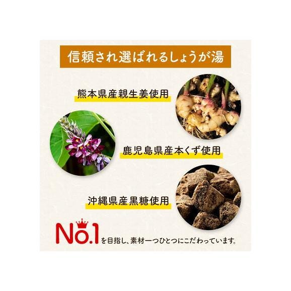 生姜湯 熊本県産 親生姜 使用 国産 粉末 しょうが湯 送料無料 【2セット購入で1袋オマケ】生姜パウダー ジンジャーティー 生姜 温活 ジンジャー しょうが 《1-5営業日以内に発送予定》05