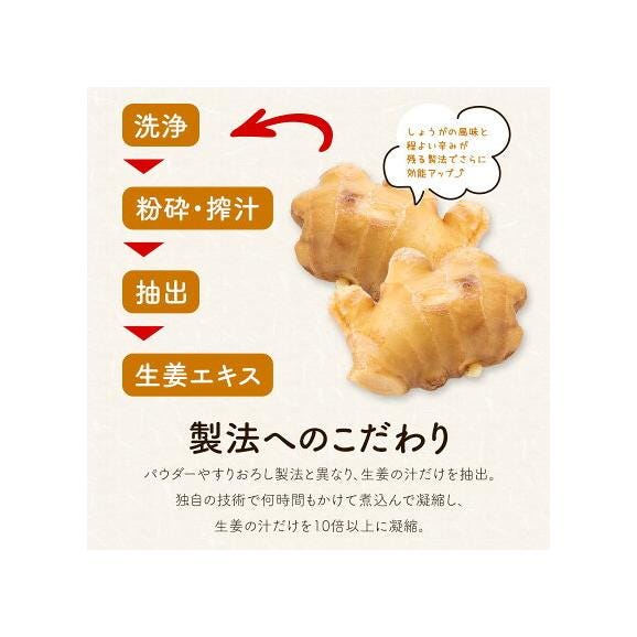 生姜湯 熊本県産 親生姜 使用 国産 粉末 しょうが湯 送料無料 【2セット購入で1袋オマケ】生姜パウダー ジンジャーティー 生姜 温活 ジンジャー しょうが 《1-5営業日以内に発送予定》06
