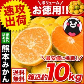熊本みかん 訳あり 10kg 箱込み 熊本県産 送料無料 ミカン 大玉 小玉 おまけ増量 お裾分け ギフト 3-7営業日以内に発送予定 土日祝除く|