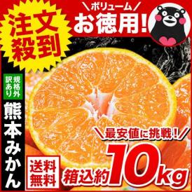 柑橘と言えばみかん!熊本の訳ありみかん!