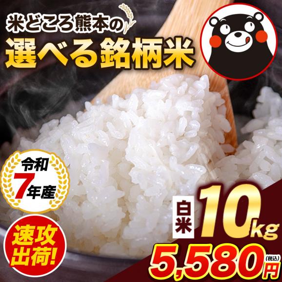 【令和7年産】お米 熊本県産二大ブランド米 ヒノヒカリ くまさんの輝き 選べる 白米10kg 送料無料  備蓄米 《1-5営業日以内に発送予定》01
