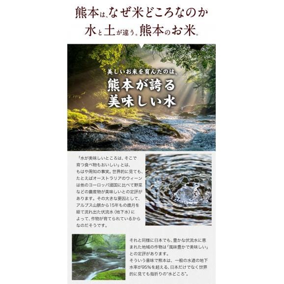 【令和7年産】お米 熊本県産三大ブランド米 ヒノヒカリ 森のくまさん くまさんの輝き 選べる 白米10kg 送料無料  備蓄米 ではありません【1-3営業日以内に発送予定】02