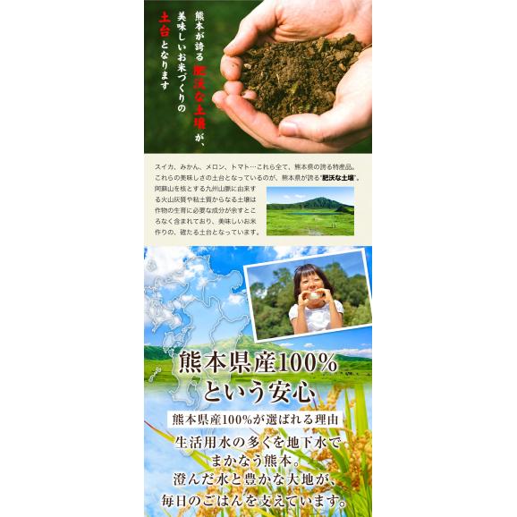 【令和7年産】お米 熊本県産三大ブランド米 ヒノヒカリ 森のくまさん くまさんの輝き 選べる 白米10kg 送料無料  備蓄米 ではありません【1-3営業日以内に発送予定】03