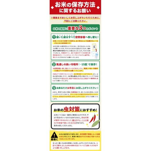 【令和7年産】お米 熊本県産三大ブランド米 ヒノヒカリ 森のくまさん くまさんの輝き 選べる 白米10kg 送料無料  備蓄米 ではありません【1-3営業日以内に発送予定】05