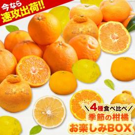 季節の柑橘 お楽しみBOX 4種 柑橘 4.5kg 送料無料 みかん  大粒みかん ポンカン  スイートスプリング レモン 訳あり 柑橘 果物 フルーツ 福袋 《1‐5営業日以内に発送予定（土日祝除く