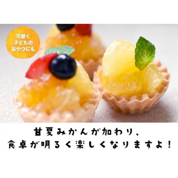 甘夏 みかん 訳あり 1.5kg 最大+4セット分おまけ付き 送料無料 熊本県産 名産地 旬のみかん 柑橘 果物 フルーツ 旬 《1-5営業日以内に出荷(土日祝除く)》06