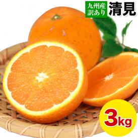 訳あり 清見 3kg 柑橘 みかん 送料無料 熊本産 デコポン(不知火) はるみ せとか の生みの親 旬 《1-5営業日以内に発送予定(土日祝除く)》