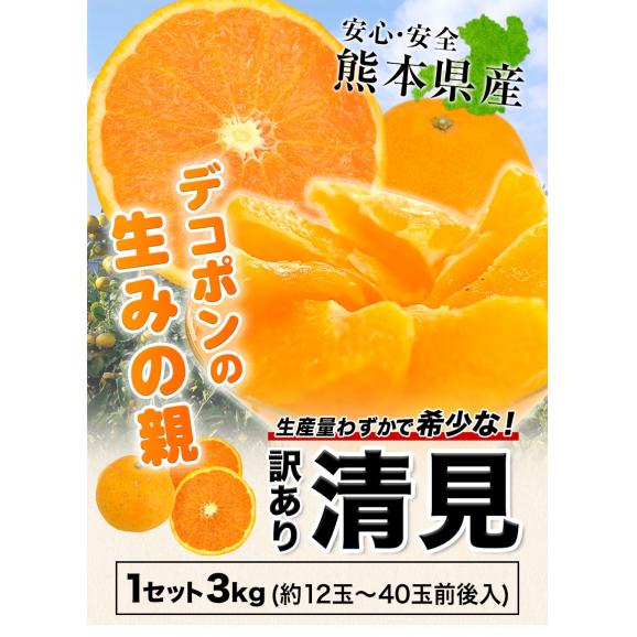 訳あり 清見 3kg 柑橘 みかん 送料無料 熊本産 デコポン(不知火) はるみ せとか の生みの親 旬 《1-5営業日以内に発送予定(土日祝除く)》02