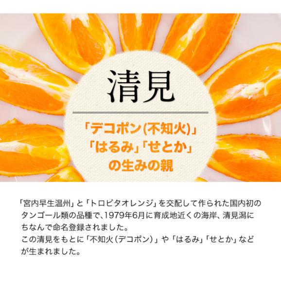 訳あり 清見 3kg 柑橘 みかん 送料無料 熊本産 デコポン(不知火) はるみ せとか の生みの親 旬 《1-5営業日以内に発送予定(土日祝除く)》03