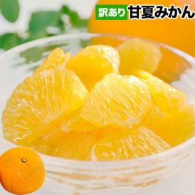 甘夏 みかん 訳あり 3kg 送料無料 熊本県産 名産地 旬のみかん 柑橘 果物 フルーツ 旬 mikann ※皮むき器プレゼント中《1-5営業日以内に発送(土日祝除く)》