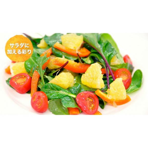 甘夏 みかん 訳あり 3kg 送料無料 熊本県産 名産地 旬のみかん 柑橘 果物 フルーツ 旬 mikann ※皮むき器プレゼント中《1-5営業日以内に発送(土日祝除く)》04